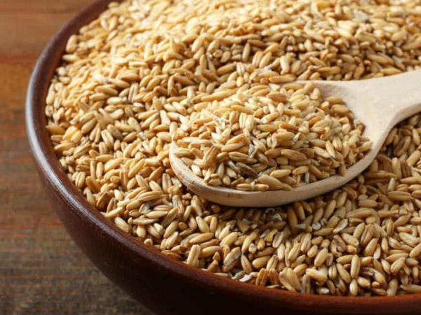 長隆工廠燕麥類產(chǎn)品暢銷國內(nèi)外